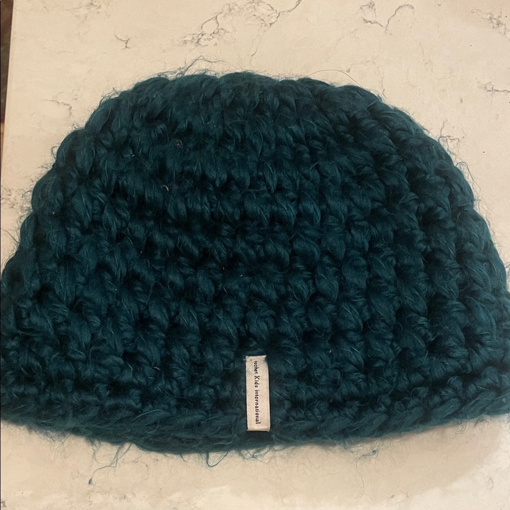 Chunky Knit Beanie in Teal